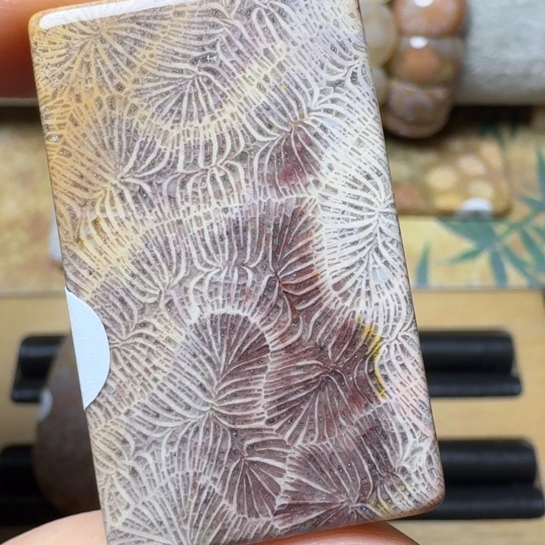 硅化玉紫色蕨类植物未镶嵌