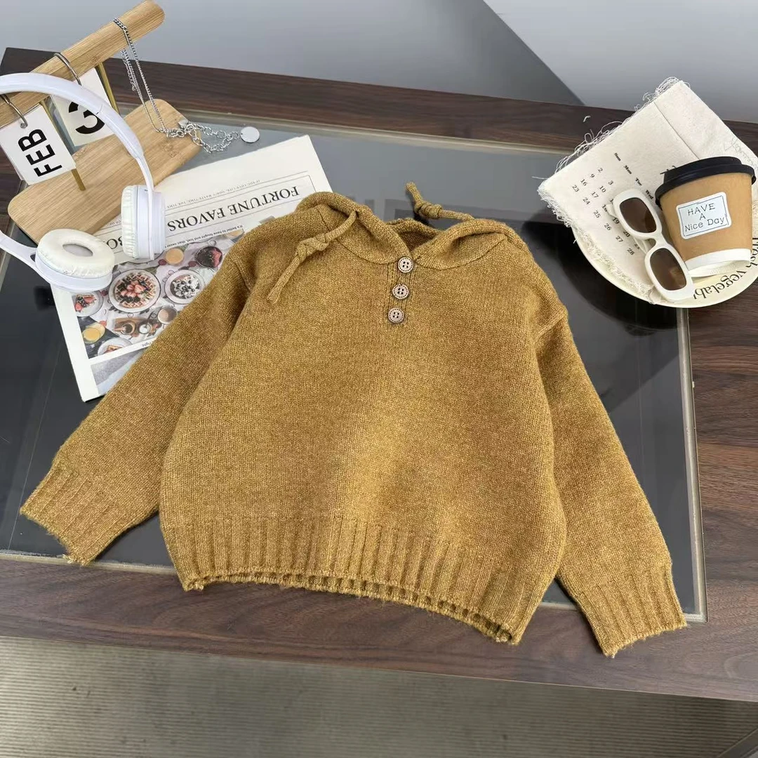 2025年新款秋冬季连帽针织儿童毛衣BMD253133