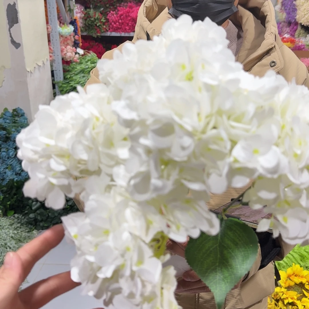 682号把束白绣球2把