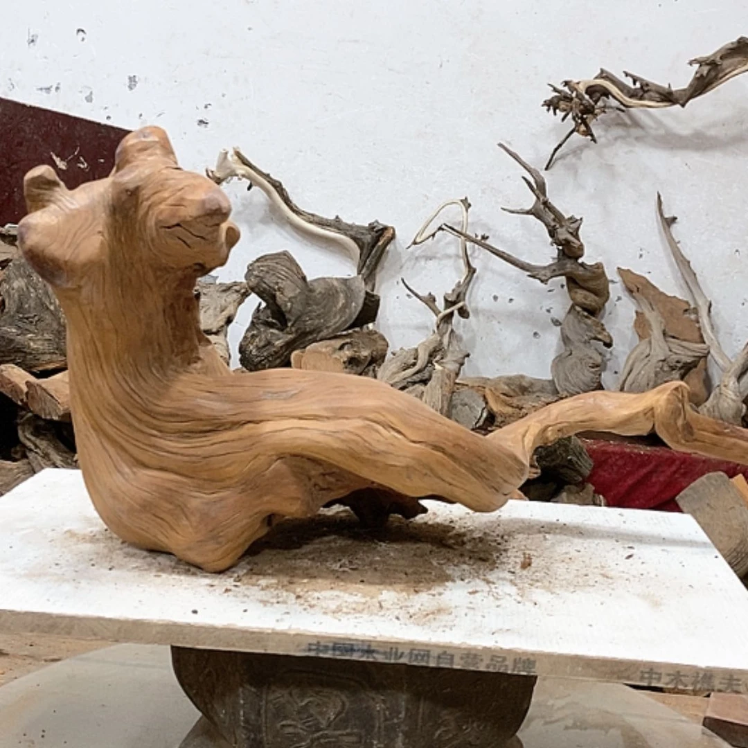 【闪购商品】柏木用****?我们都是好孩子