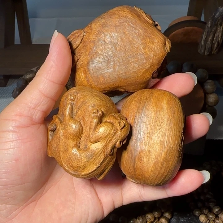 秦***岭沉香碎屑沉香马老奇