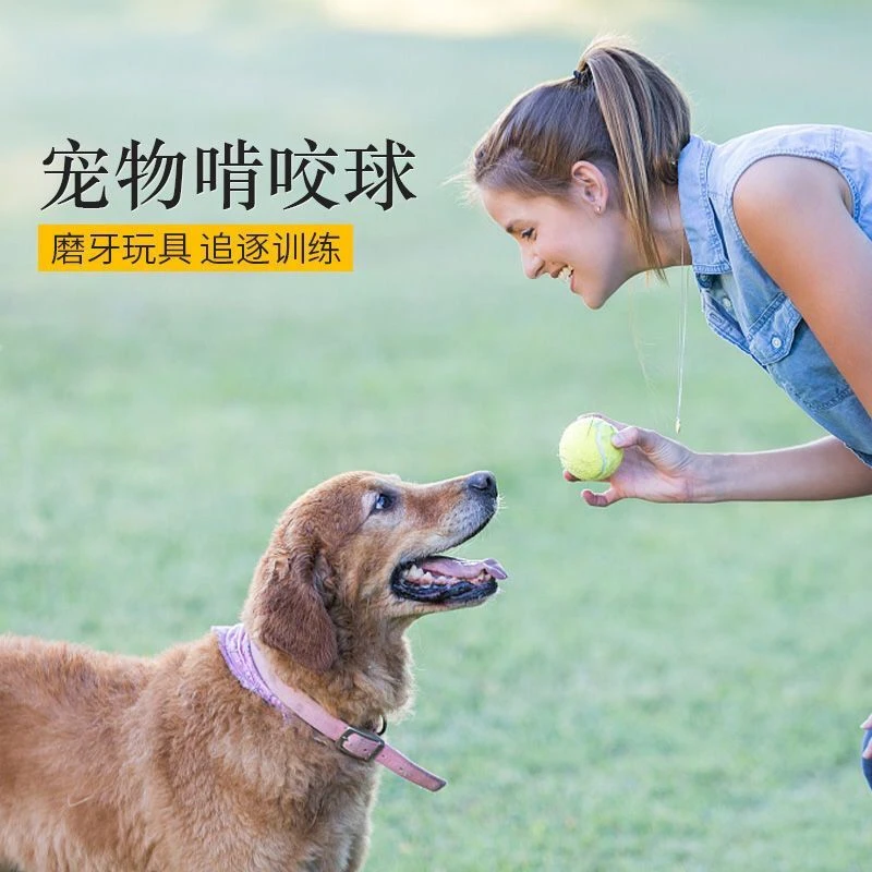 狗狗玩具球耐咬小狗狗幼犬户外球大型犬马犬磨牙弹力宠物狗训练球