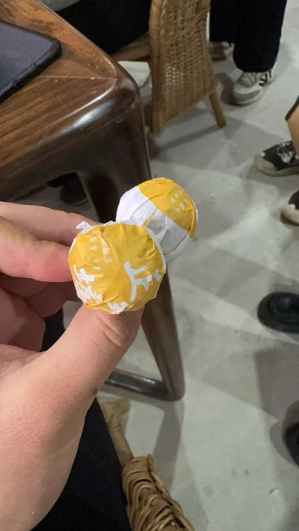 2023年 （正气塘古树白茶）龙株  20颗 【慧子】