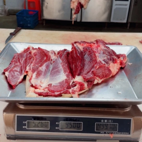 【闪购商品】冷冻保存30天包装河北省