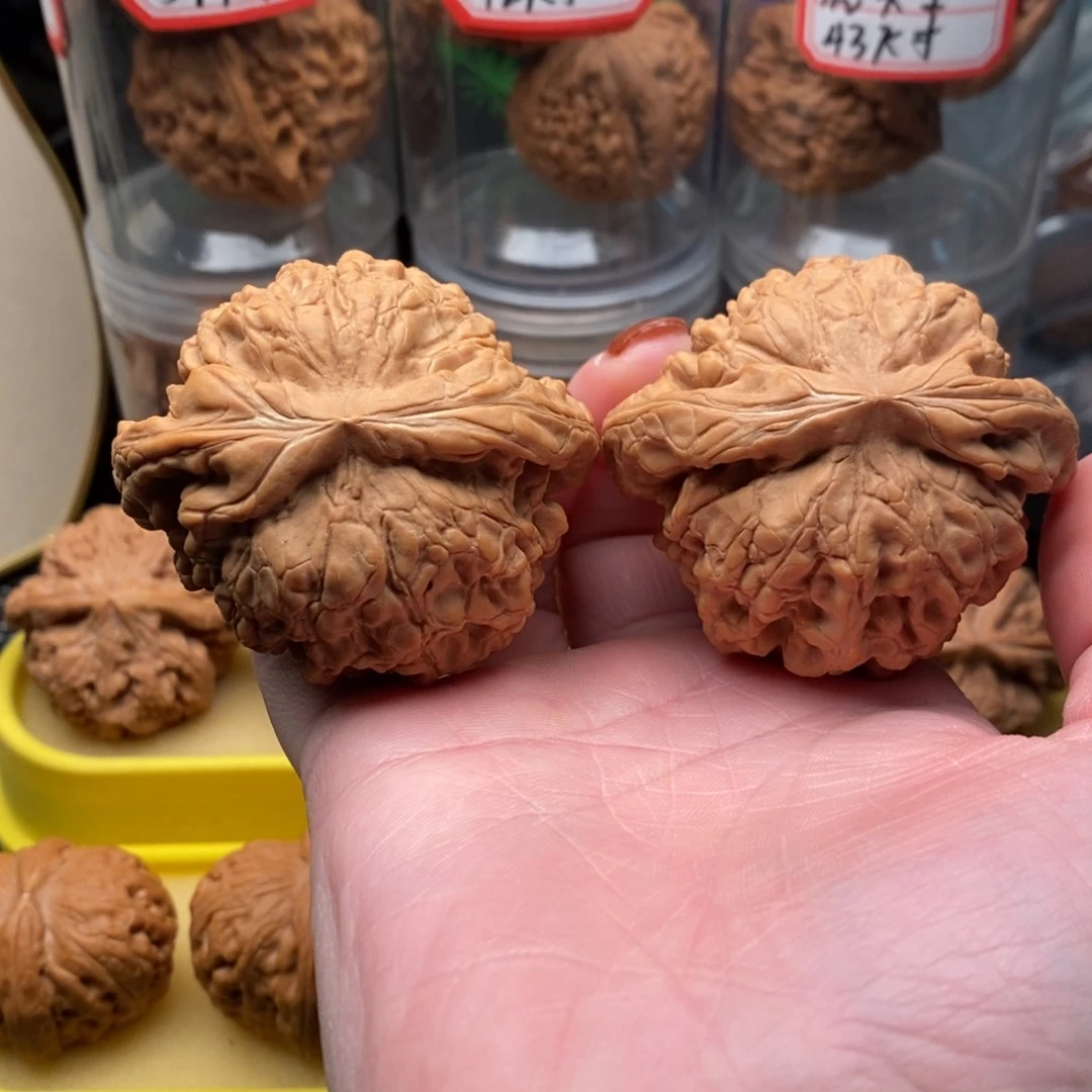 手串/手链橄榄核龙鼎55全品