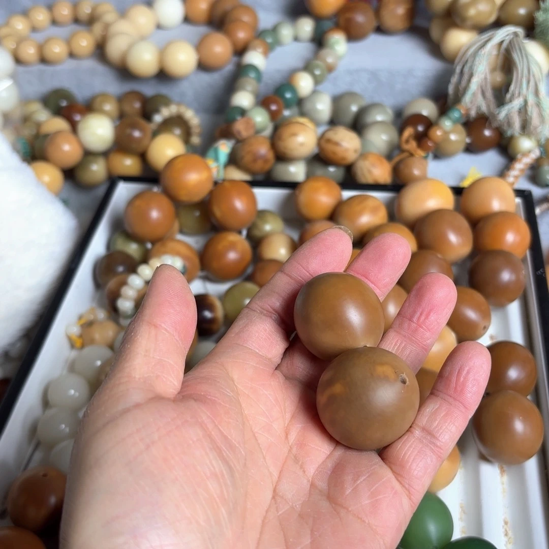 菩提根/象牙果手串嗷*～