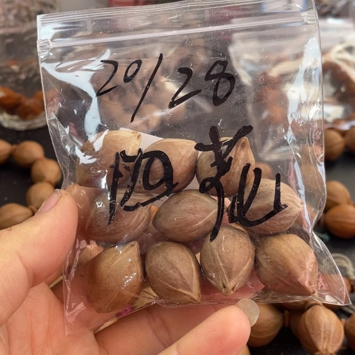 在***方手串/手链橄榄核橄榄核