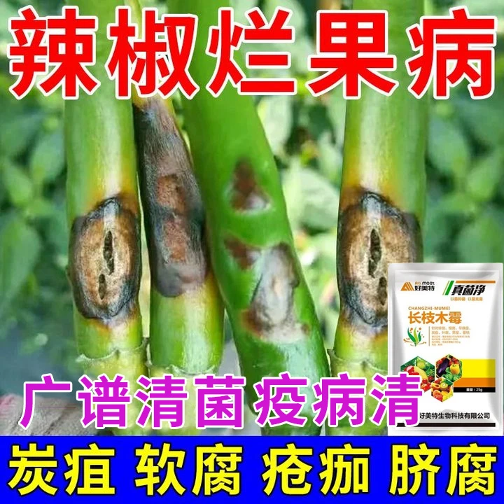 辣椒烂果专用除菌剂肥料炭疽病脐腐病烂果病卷叶病毒病辣椒疫病清