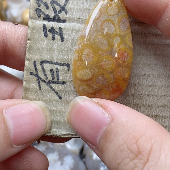 颈饰未镶嵌硅化珊瑚（珊瑚玉）凡***菇