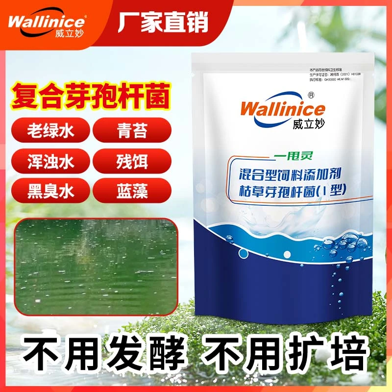 芽孢杆菌水产专用鱼虾蟹塘水浓绿去油膜气泡一甩灵控青苔