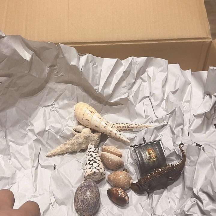 中古物品，谨慎参拍风****2