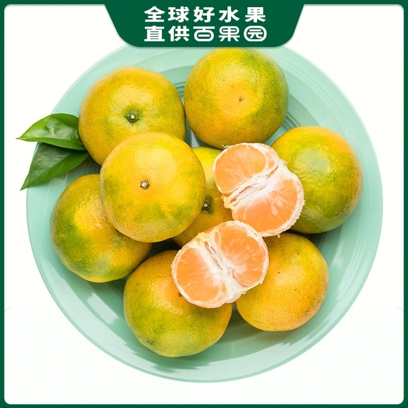东江蜜桔（中）1份450-500g