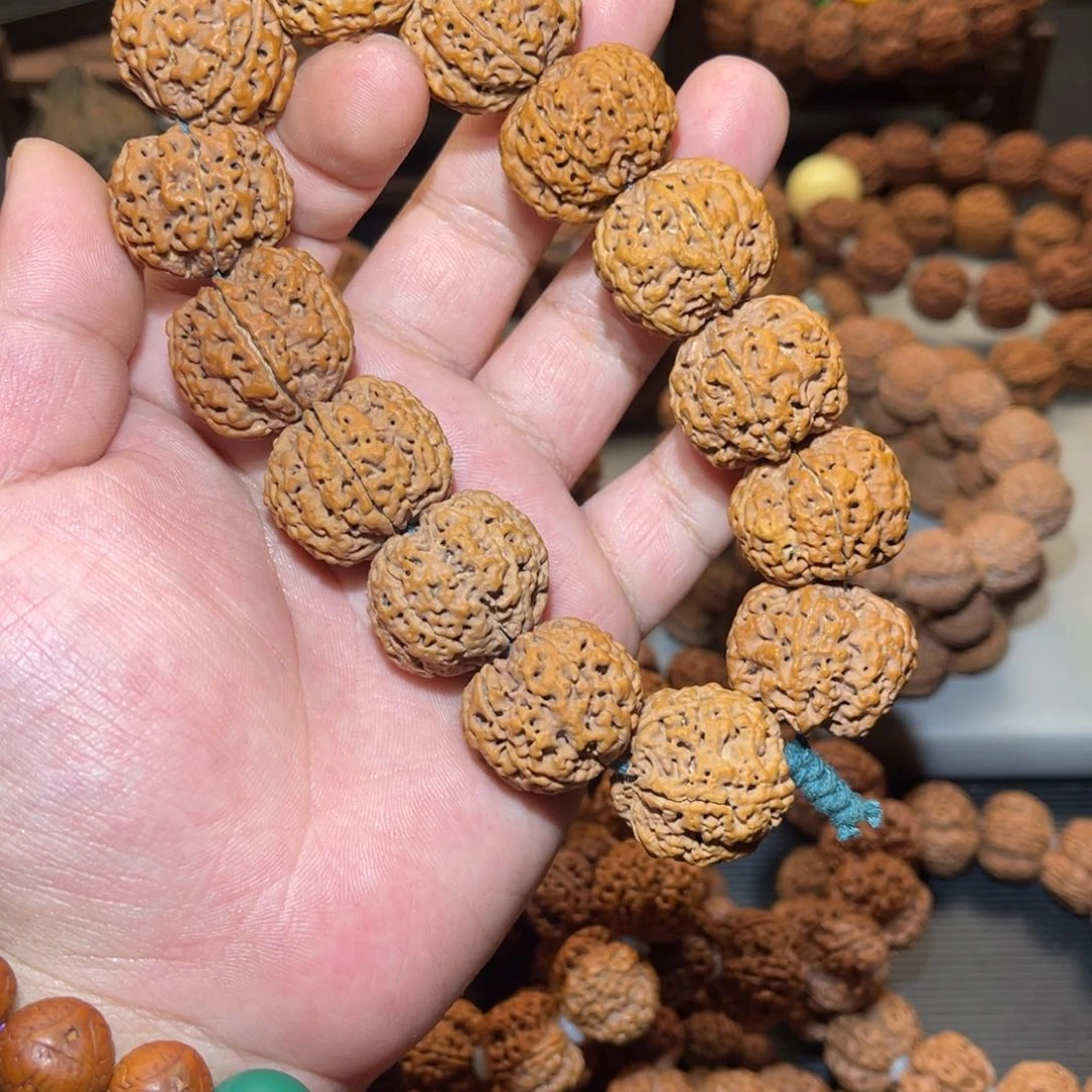 金刚菩提吊坠不*鱼巨肉蜂王