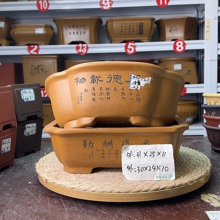 紫砂花盆蛇年大吉