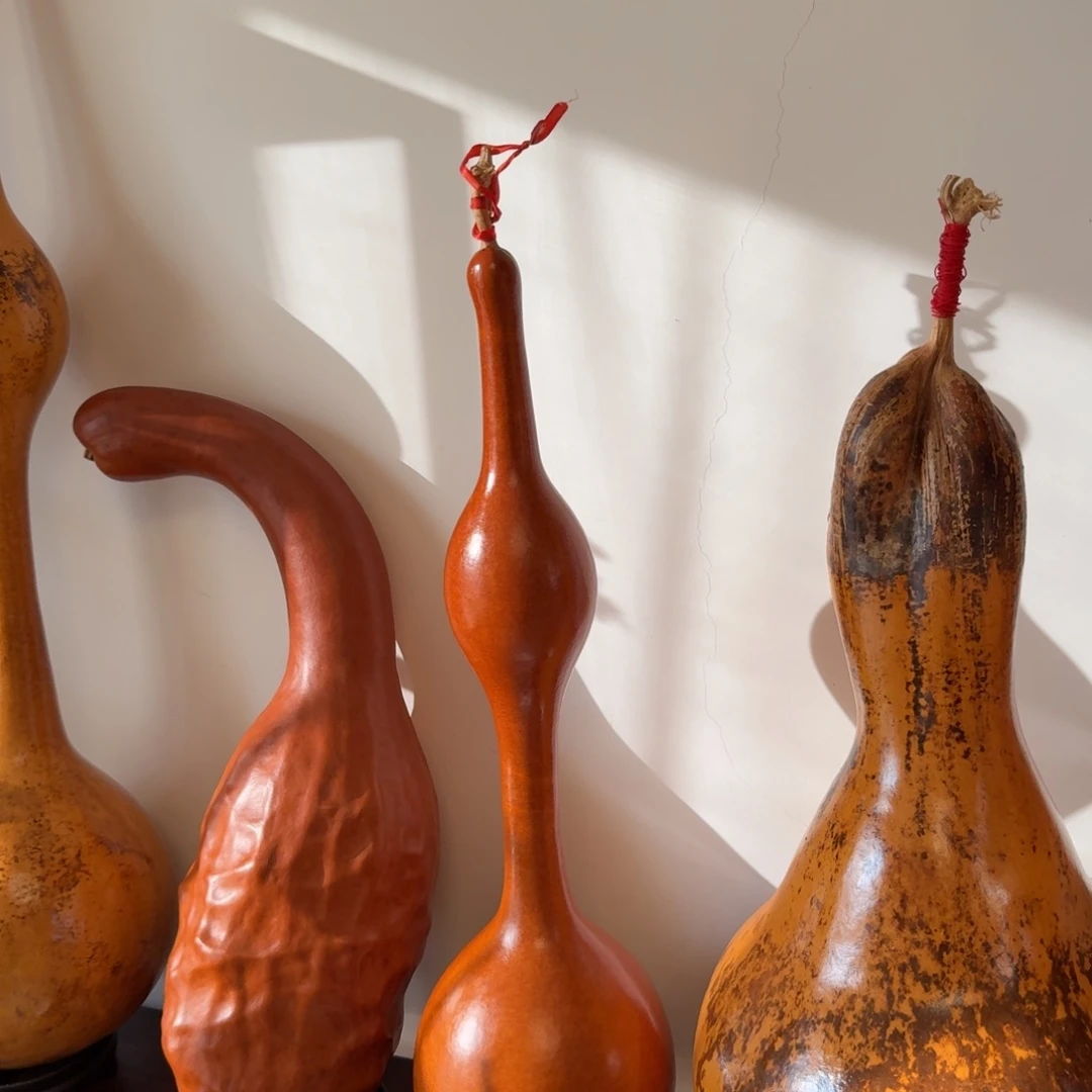 老皮厚皮雁脖无伤