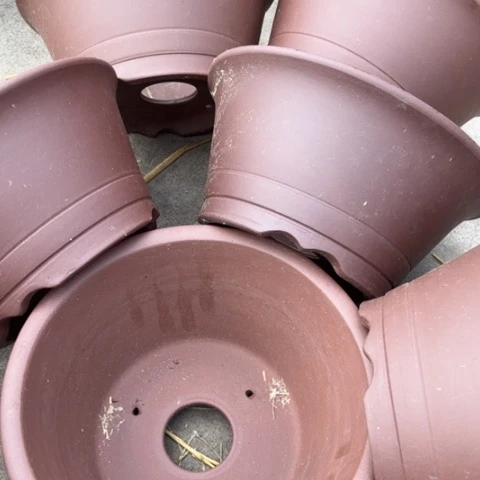 紫砂花盆100-6。   26-12