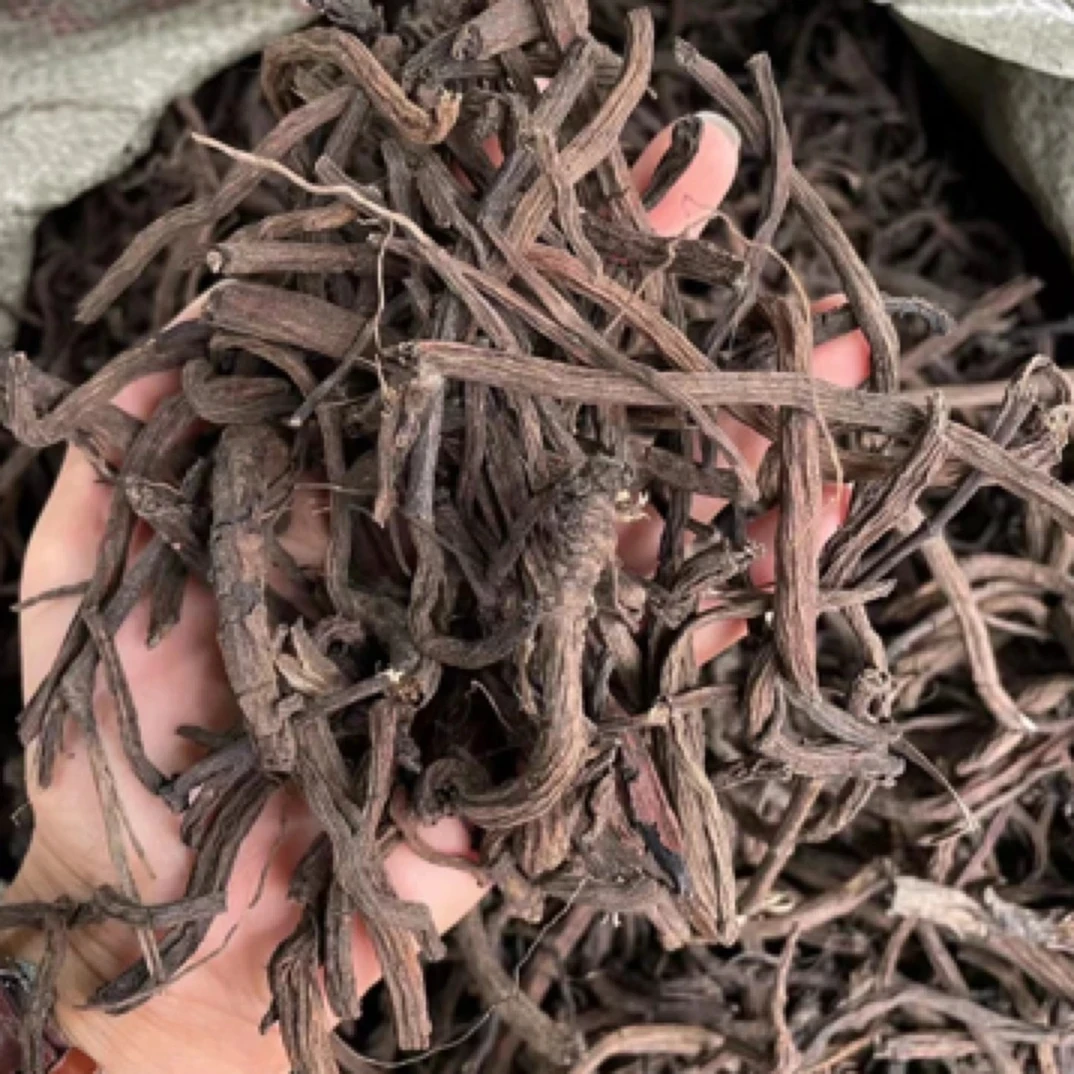 来自云南大山【丹参】