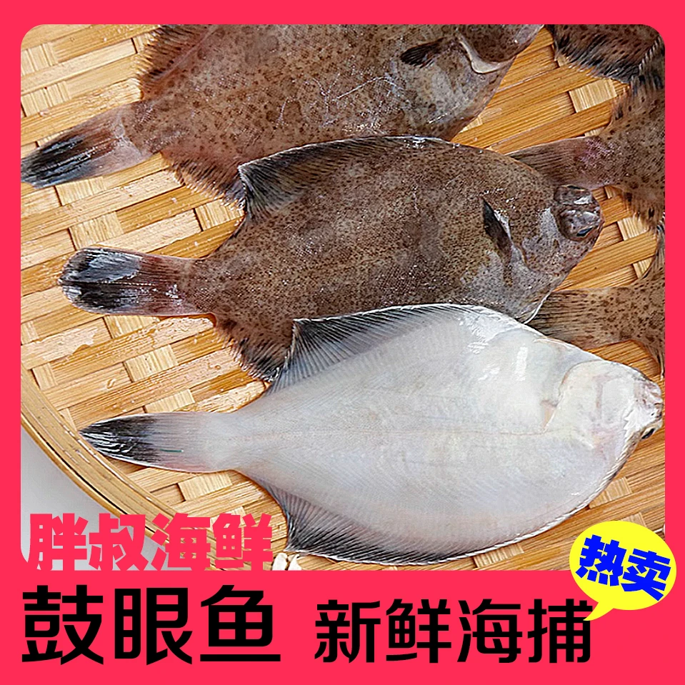 海捕鼓眼鱼 青岛沙子口本地小船3斤 新鲜小船货  冷链包邮