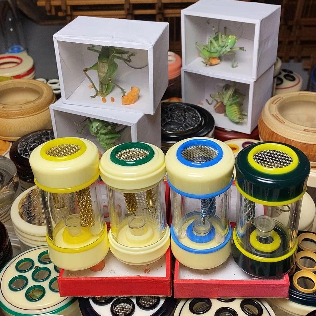 竹蛉筒哈哈哈哈哈哈