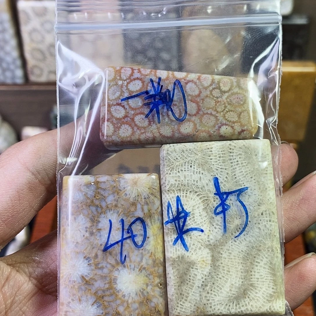 硅化珊瑚（珊瑚玉）吊坠未镶嵌一****?