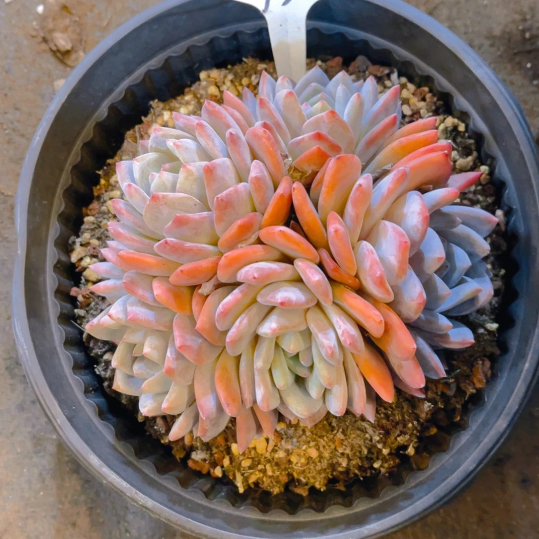 0000000000000000000173