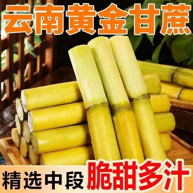 云南黄金甘蔗现砍现发整箱J