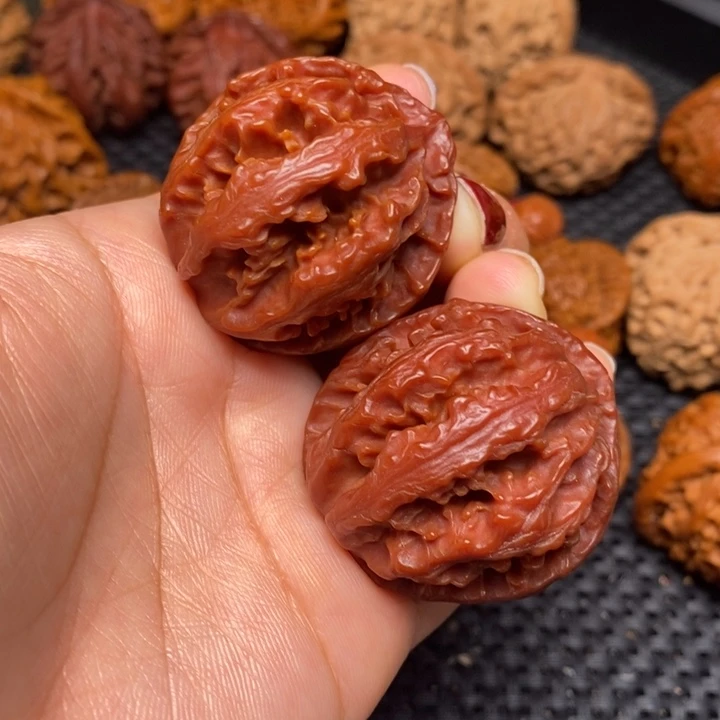 秦岭野生00000025