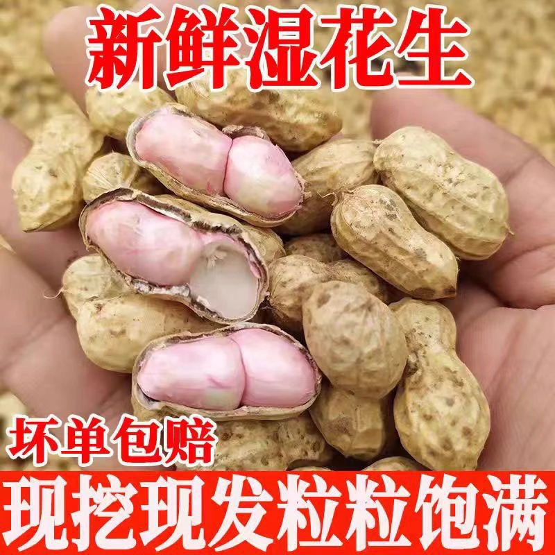 2025农家自种罗汉果带壳现挖新鲜小籽花生可水煮生吃