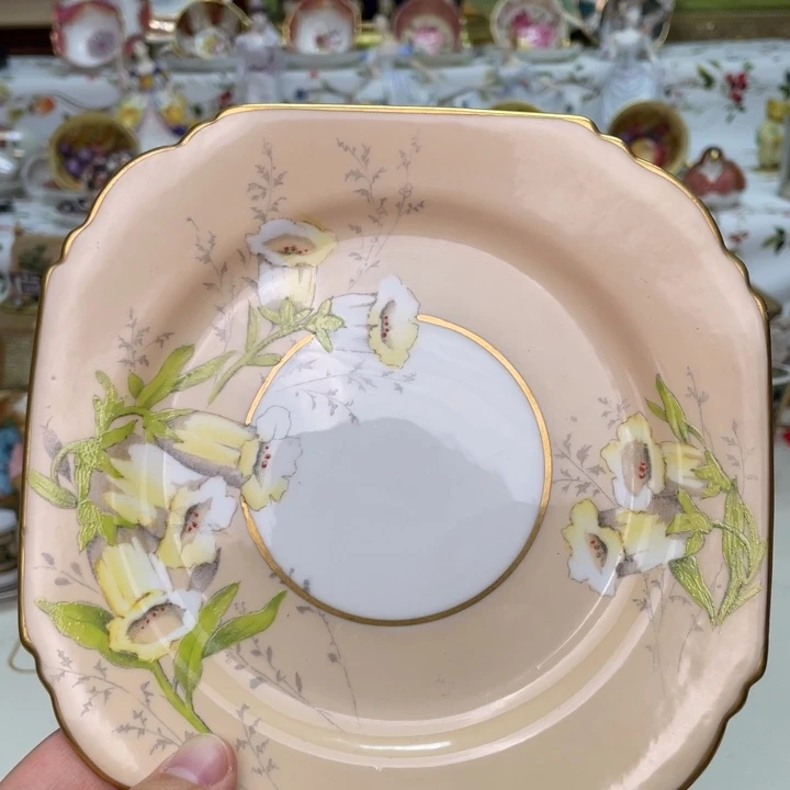 盘温**合维多利亚欧洲中古