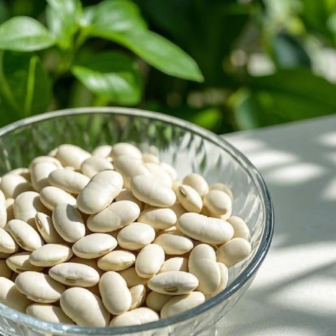 贵州农家白芸豆干货