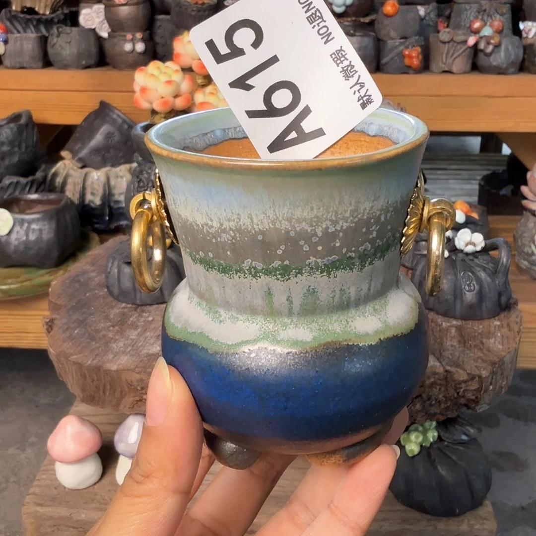 重庆小燕子欢迎大家615