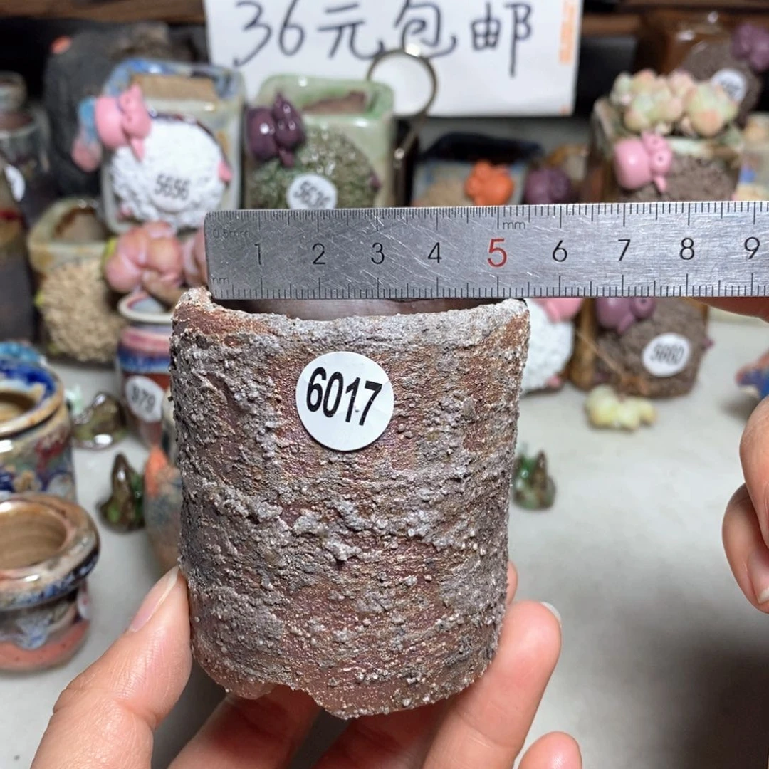 拍3送一个小礼物