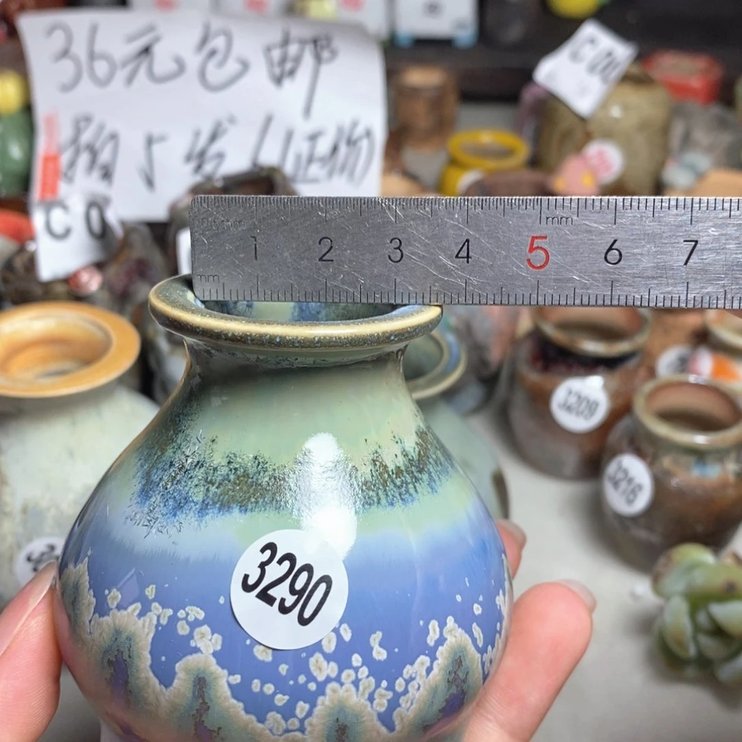 拍5送一个小礼物