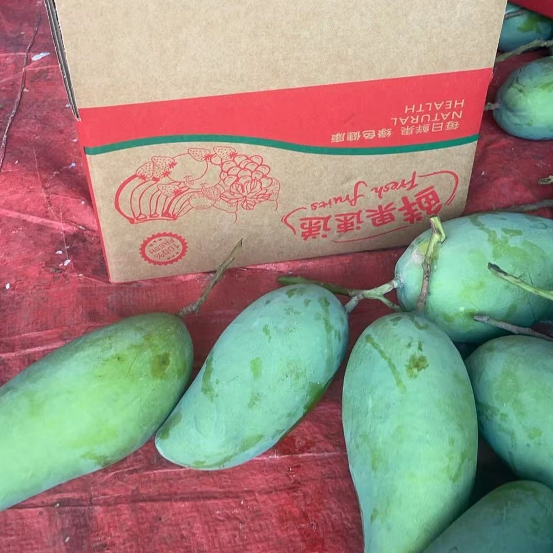 广西百色芒果产地直发大果（大桂七）