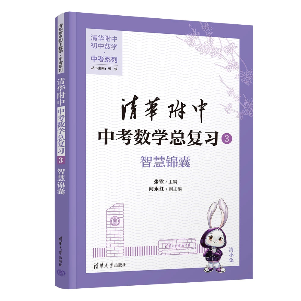 清华附中中考数学总复习3  智慧锦囊（清华附中初中数学·中考系列）