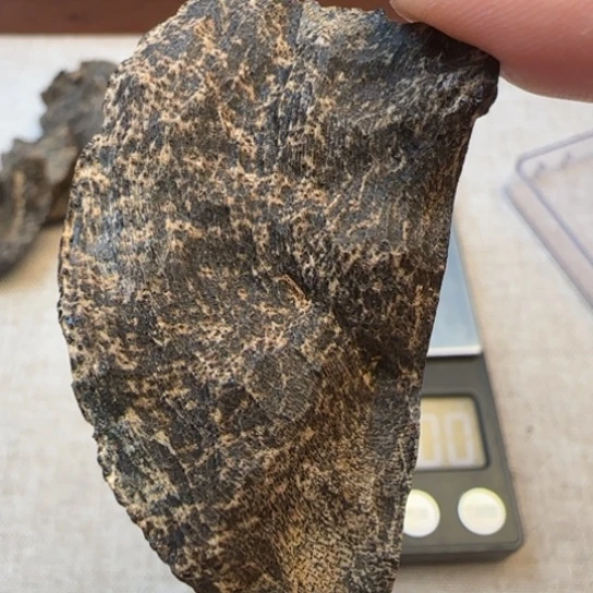 沉香摆件海南沉水野生包头3.8克