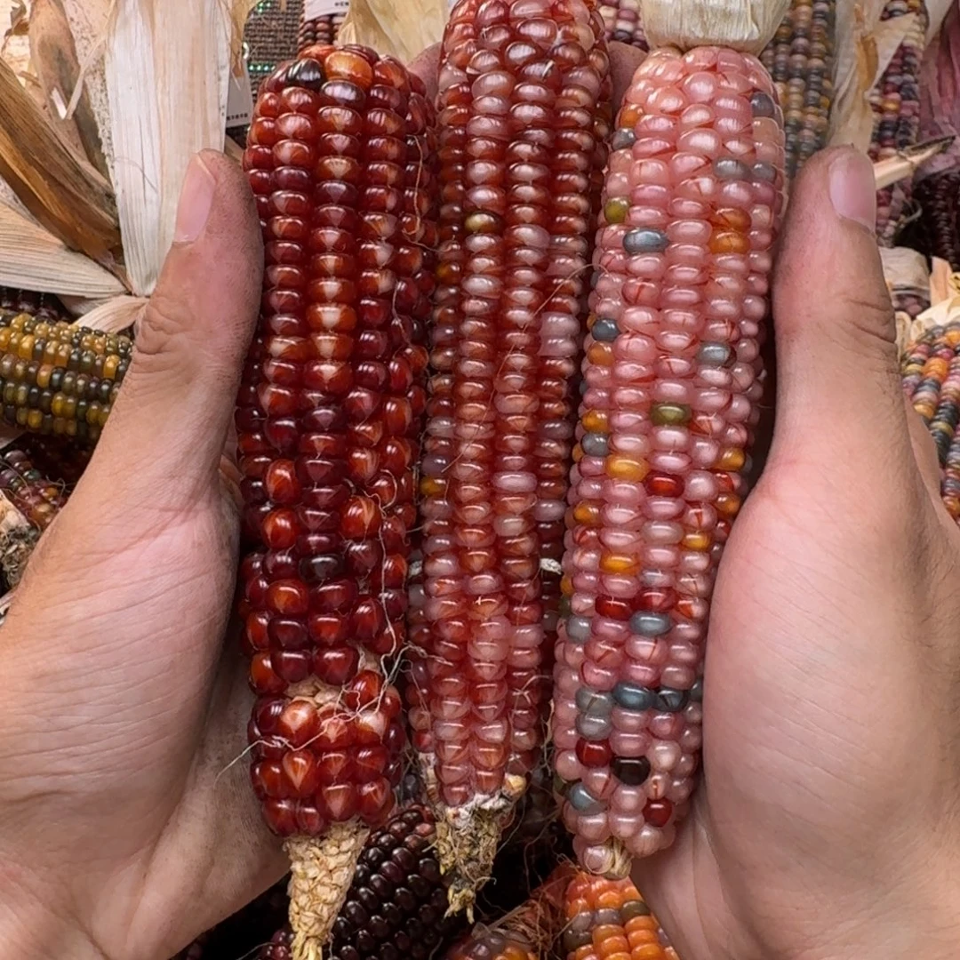 咖***妃吊坠柏香籽/百香籽