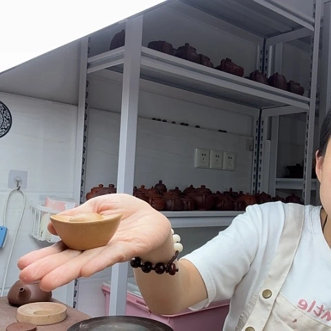 段泥元宝茶宠茶宠