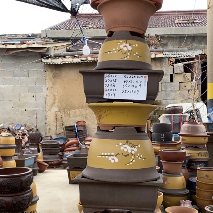 红陶这样我也可以去看电影