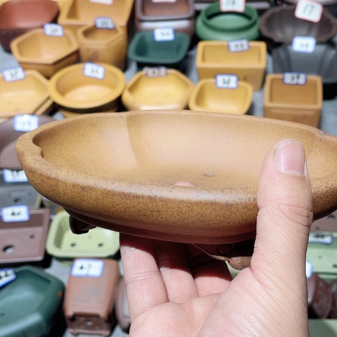 紫砂小盆16*13*3cmmmm