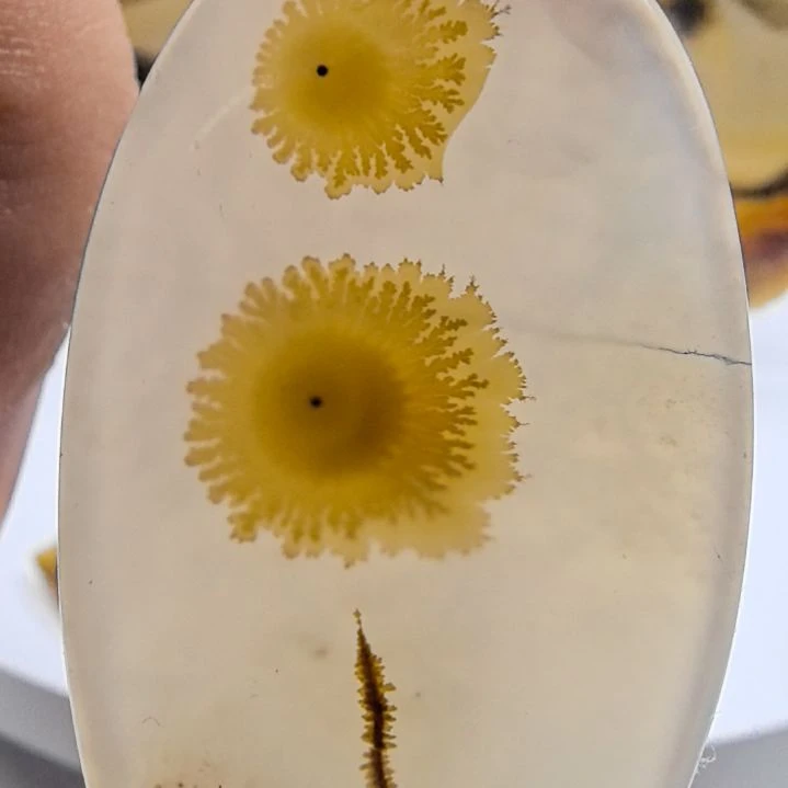 非金属时尚饰品16