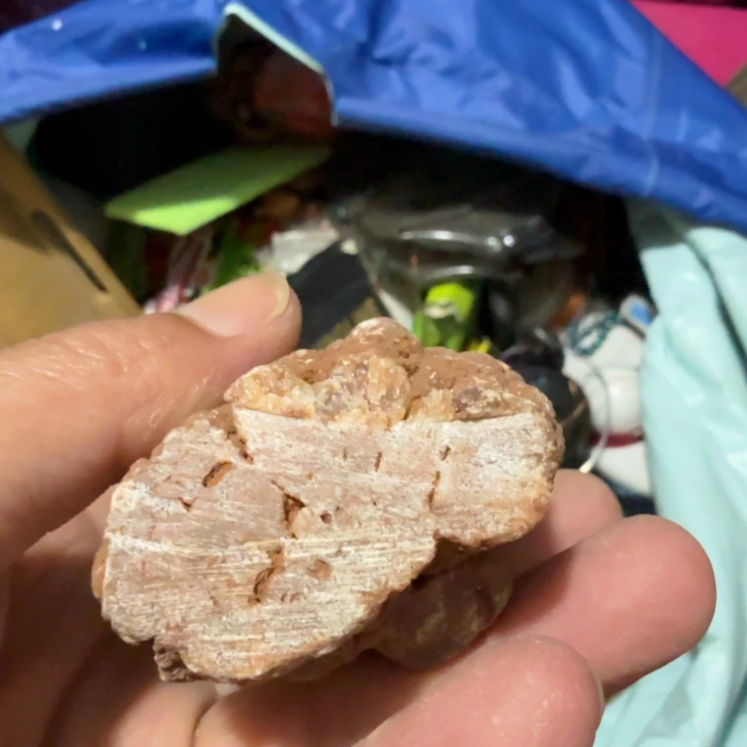 怒***吧杂色豆（科檀/科特迪瓦檀木）