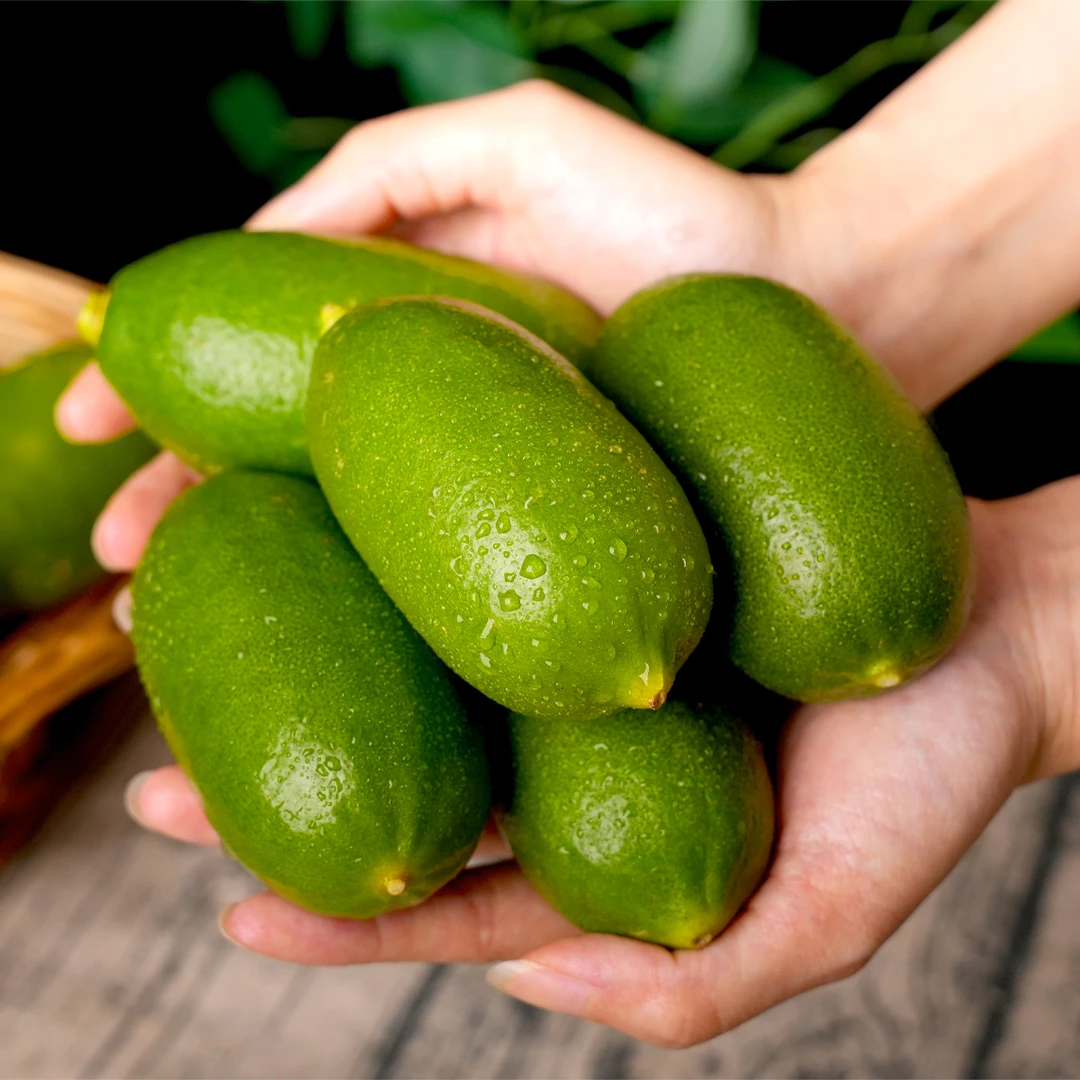 海南子弹头香水青柠檬应季水果 10颗装