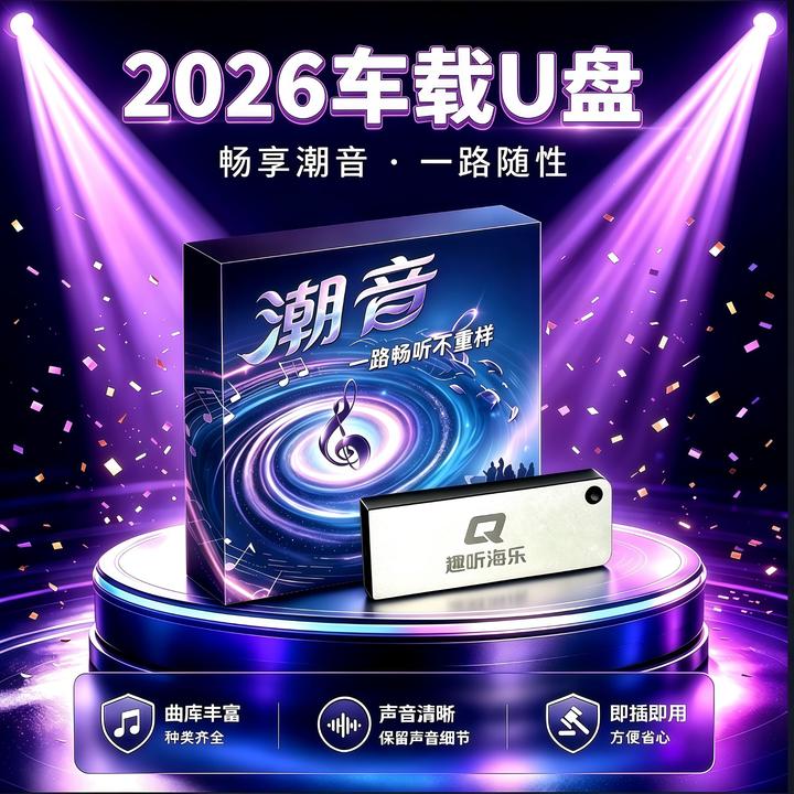 车载音乐U盘 即插即用 中文DJ 伤感情歌 合集