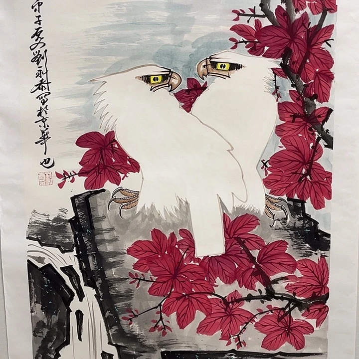 横款刘老师四尺鹰