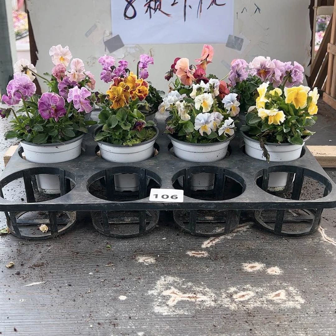 【闪购商品】106号