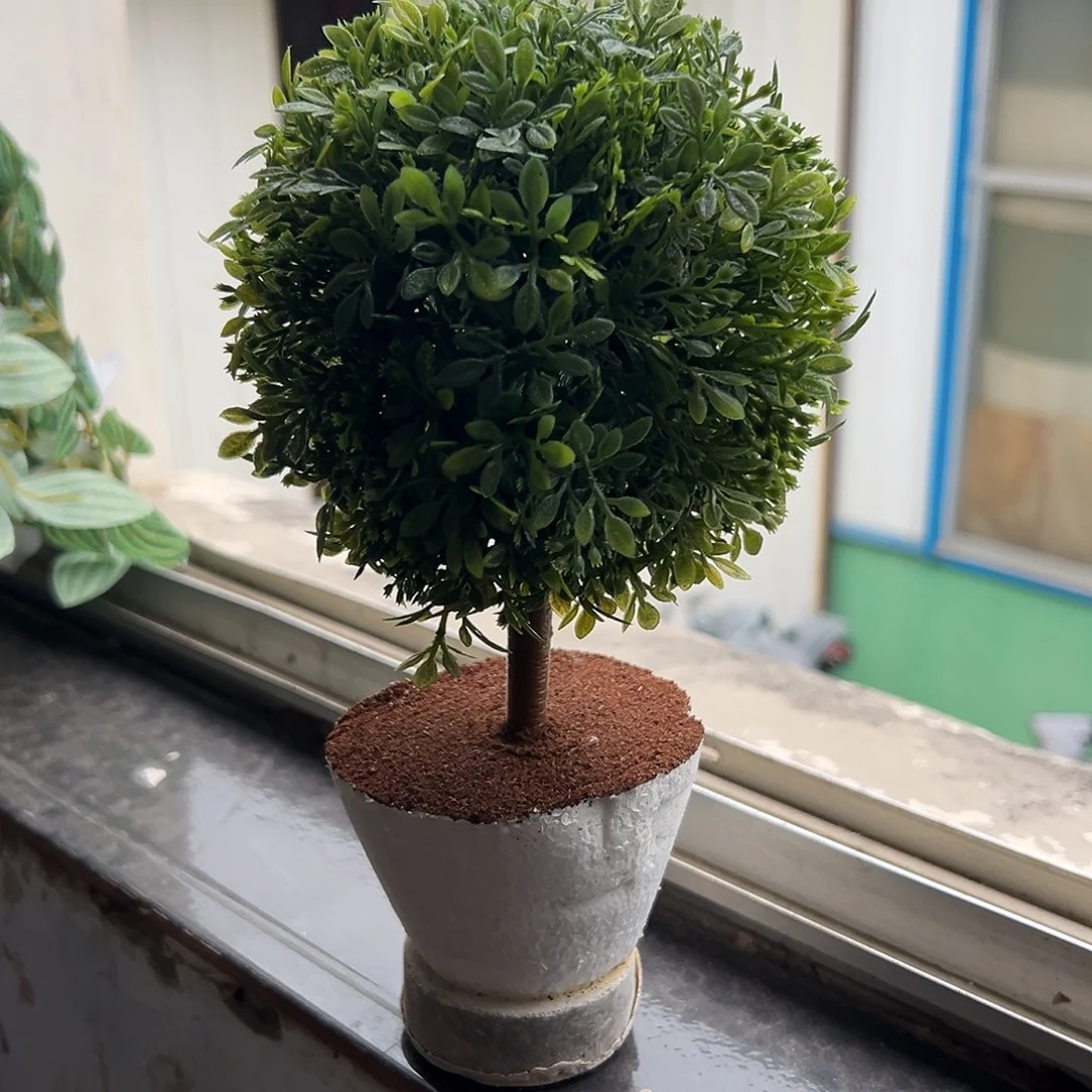 抖音直播间瑕疵无盆