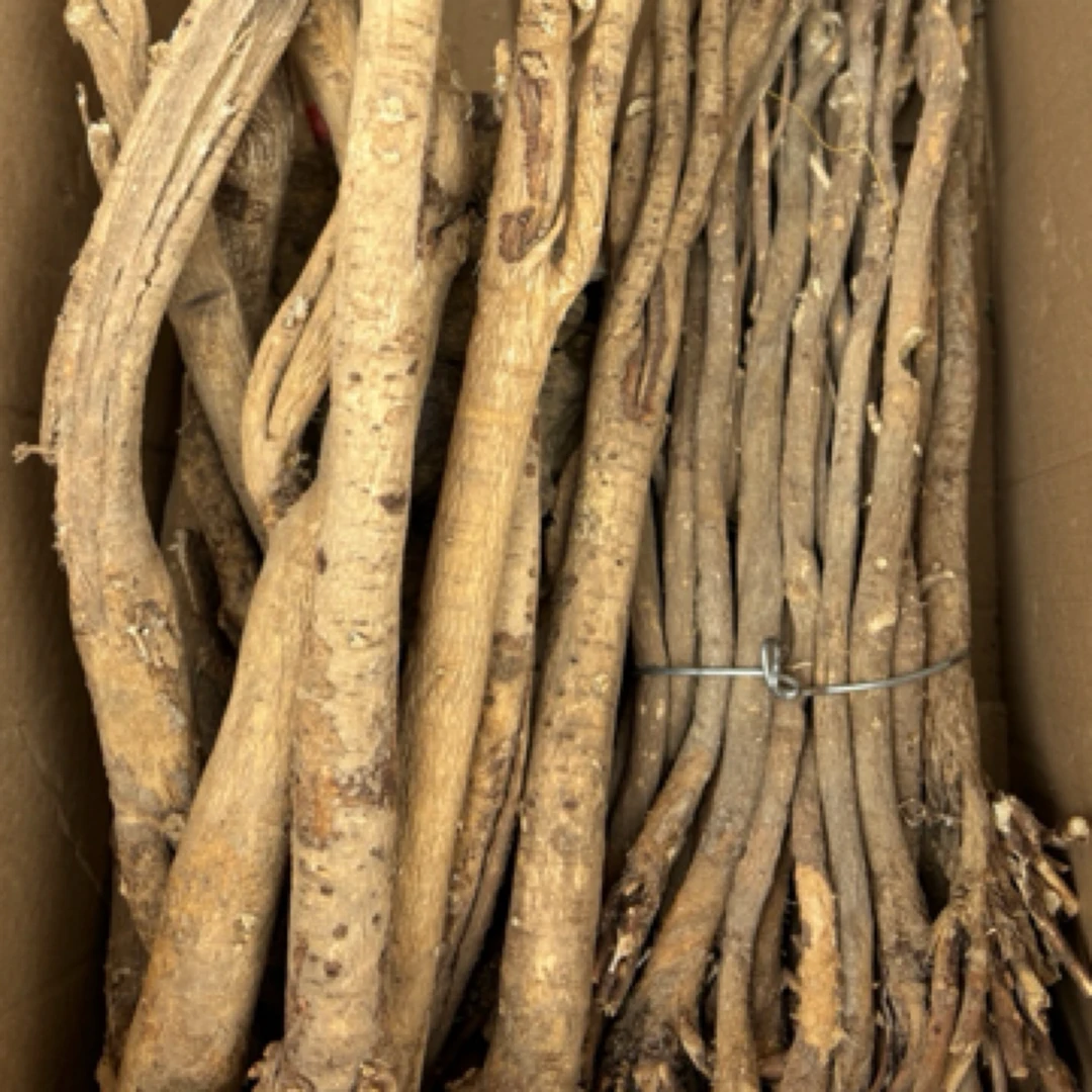 【黄芪】黄芪包邮野生黄芪未切片
