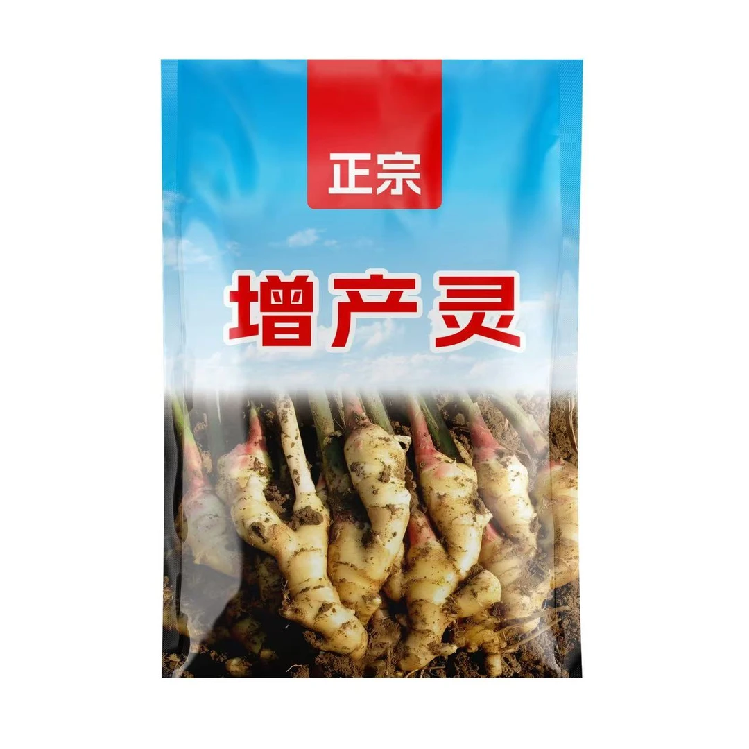 生姜增产灵 叶面喷雾三次 生姜专用 提质增产 膨果姜块品相好