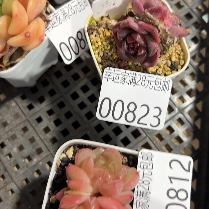 幸运的是我还没遇到过